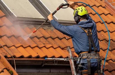 Démoussage et hydrofuge de toiture à Nérigean